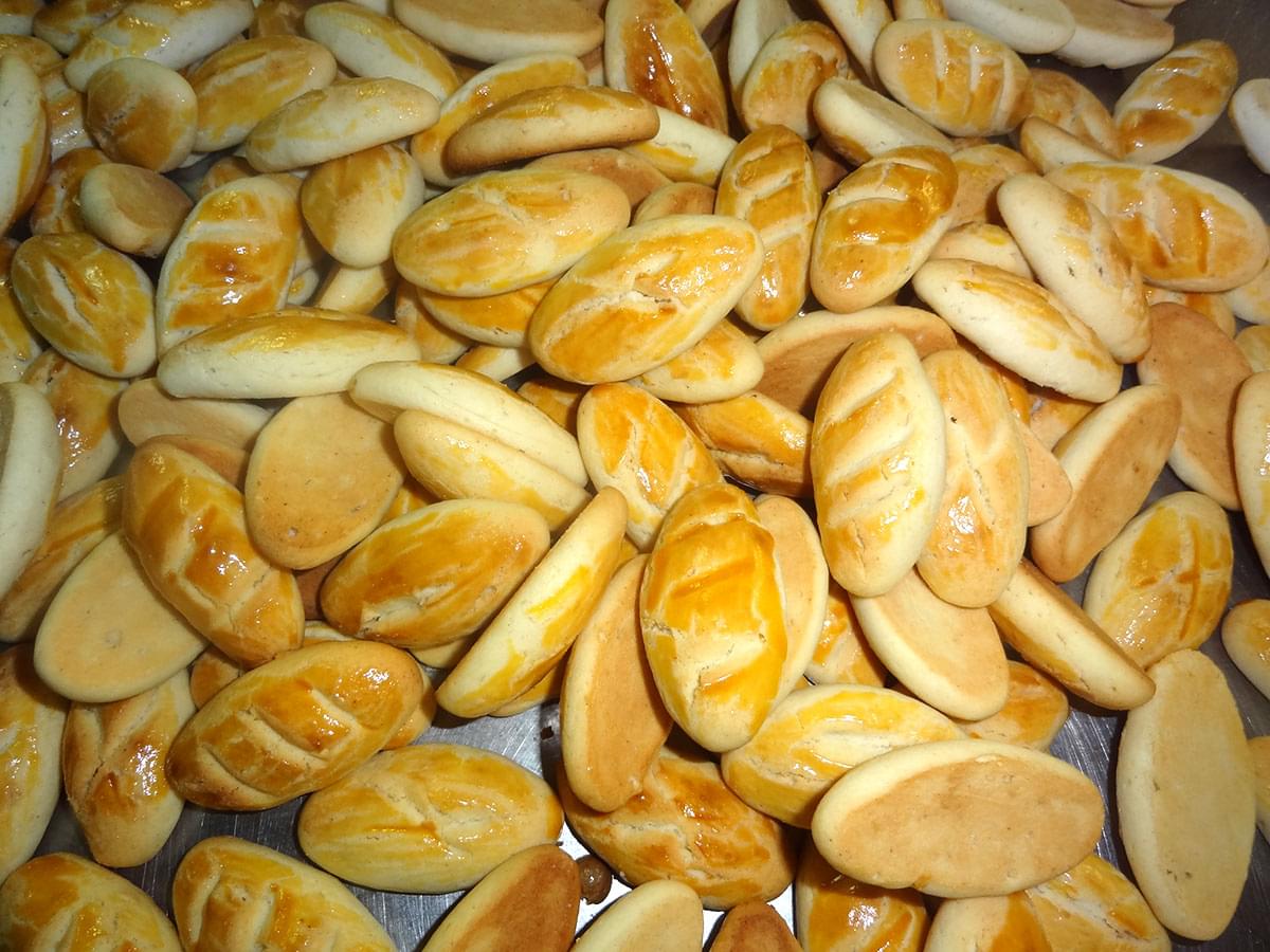 PANUCOS (CONSEJOS) - Imagen 2